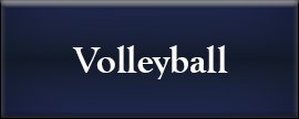 girls volleyball link for more information